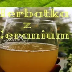 Jak zrobić herbatę z geranium, aby cieszyć się jej zdrowotnymi właściwościami