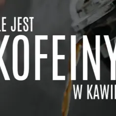 Ile mg kofeiny jest w kawie? Zaskakujące różnice w typach kawy