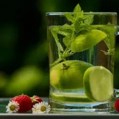 Jak herbata oczyszcza organizm? Odkryj najlepsze zioła na detoks